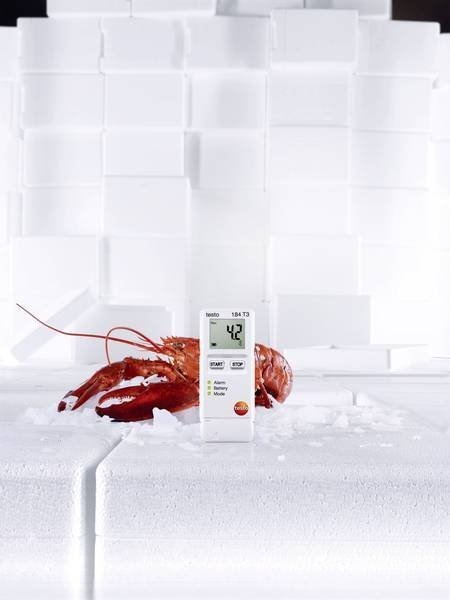 Testo 184 T3 - Záznamník teploty -35 … +70 °C